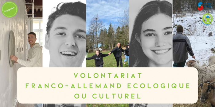 Allemagne : candidatures ouvertes pour le Volontariat franco-allemand écologique (VEFA) ou culturel (VCFA) !